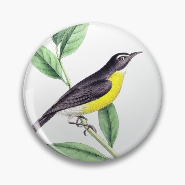 Item preview, bird designed and sold by shashouhaiti29.