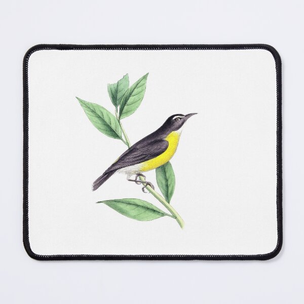 Item preview, bird designed and sold by shashouhaiti29.