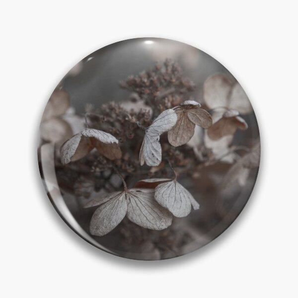Item preview, Beige and Gray Hydrangea Blossoms designed and sold by Brooke T Ryan Photographic Art.