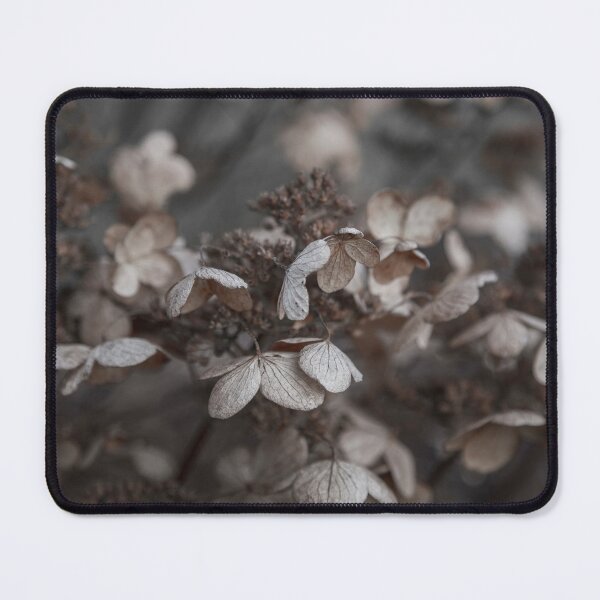 Item preview, Beige and Gray Hydrangea Blossoms designed and sold by Brooke T Ryan Photographic Art.