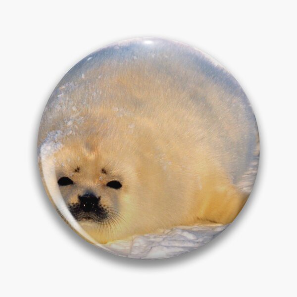 Item preview,  seal photo with high resolution quality designed and sold by Allyouneed-2.