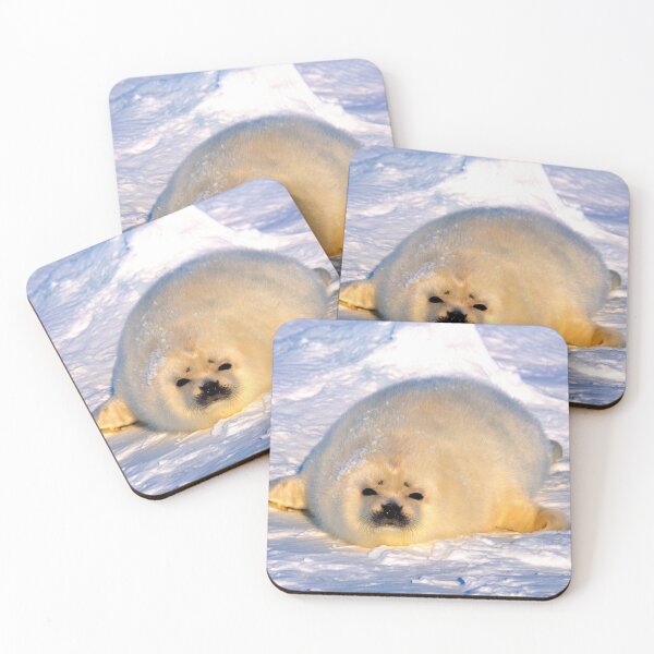 Item preview,  seal photo with high resolution quality designed and sold by Allyouneed-2.