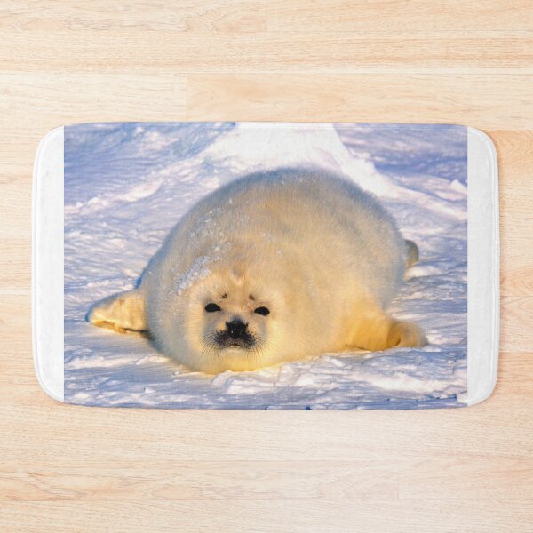 Item preview,  seal photo with high resolution quality designed and sold by Allyouneed-2.