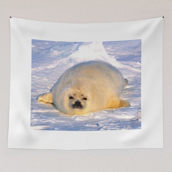 Item preview,  seal photo with high resolution quality designed and sold by Allyouneed-2.