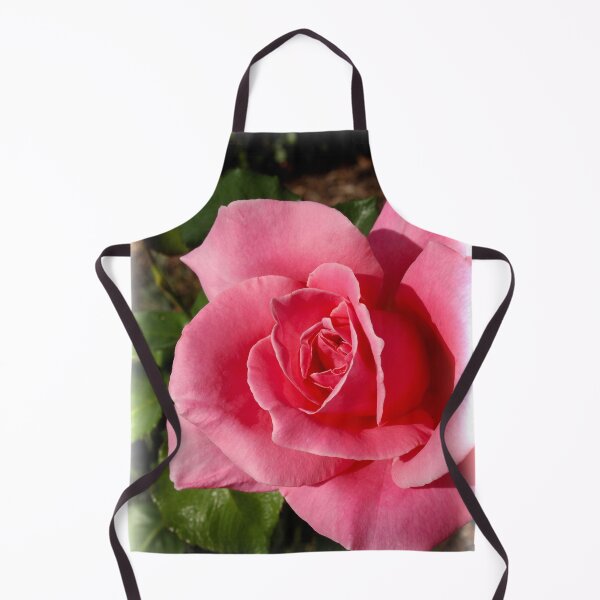 Item preview, "Bewitched" Rose from my garden designed and sold by Douglas E. Welch Design and Photography.