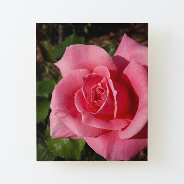 Wood Mounted Print