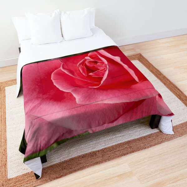 Comforter