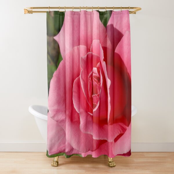 Shower Curtain