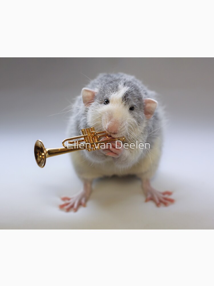 The trumpet :) by Ellen