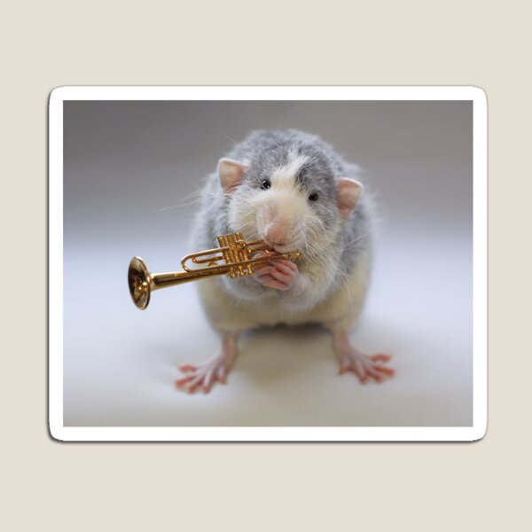 The trumpet :) Magnet