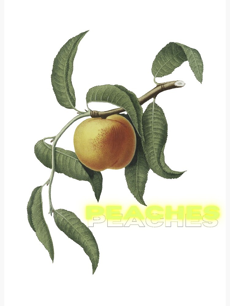 Peaches Lyrics