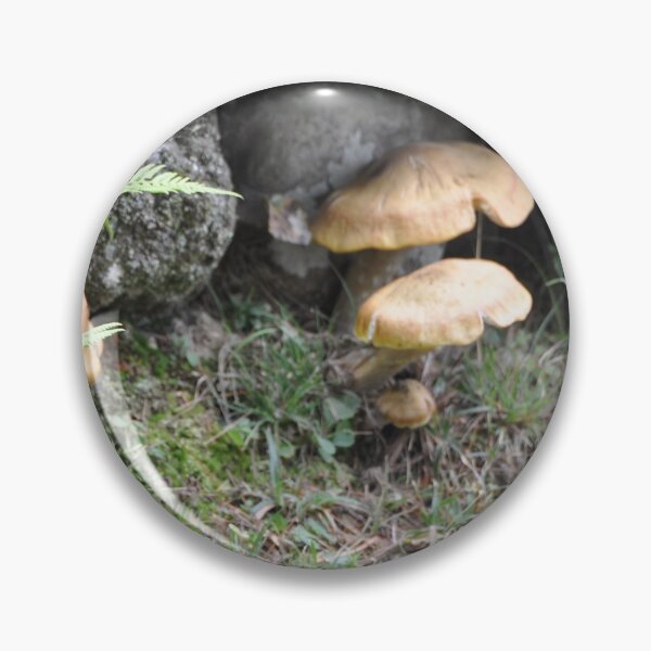 Item preview, Mushrooms on a Rock Wall designed and sold by Theophanes Avery.