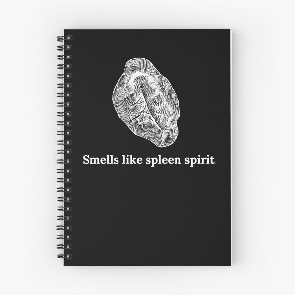 Item preview, Spleen Pun | Anatomy and Physiology designed and sold by Cardinal Designs.