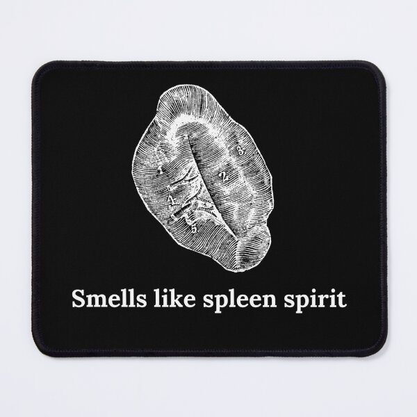Item preview, Spleen Pun | Anatomy and Physiology designed and sold by Cardinal Designs.