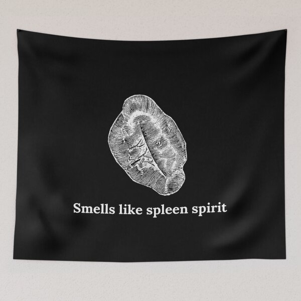Item preview, Spleen Pun | Anatomy and Physiology designed and sold by Cardinal Designs.
