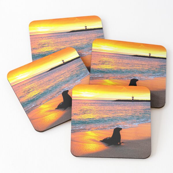 Item preview, seal photo with high resolution quality designed and sold by Allyouneed-2.