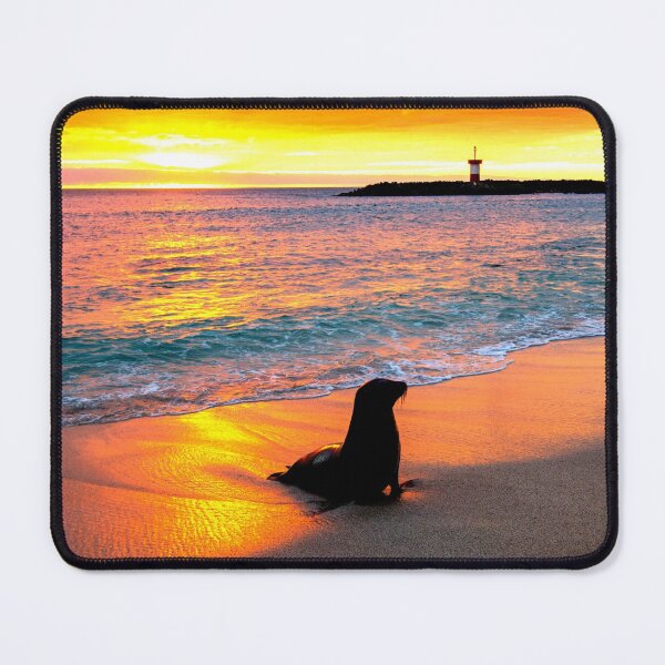 Item preview, seal photo with high resolution quality designed and sold by Allyouneed-2.