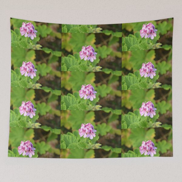 Item preview, Beautiful Pink Geranium. designed and sold by Malcolm Snook.