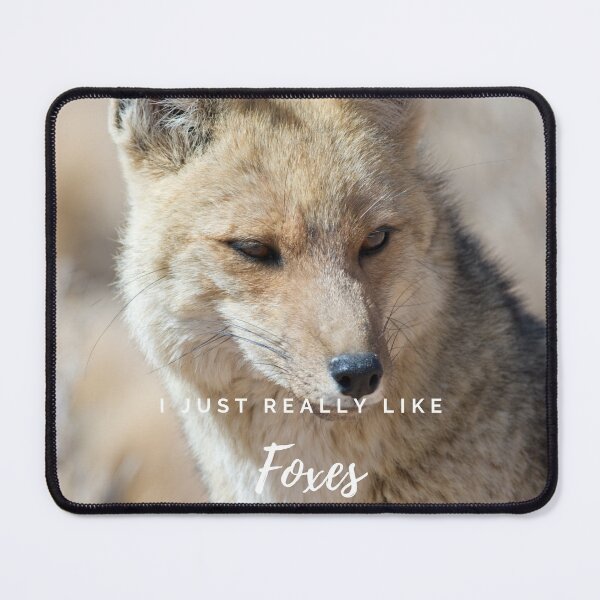 Item preview, I just really like foxes light designed and sold by kyds.