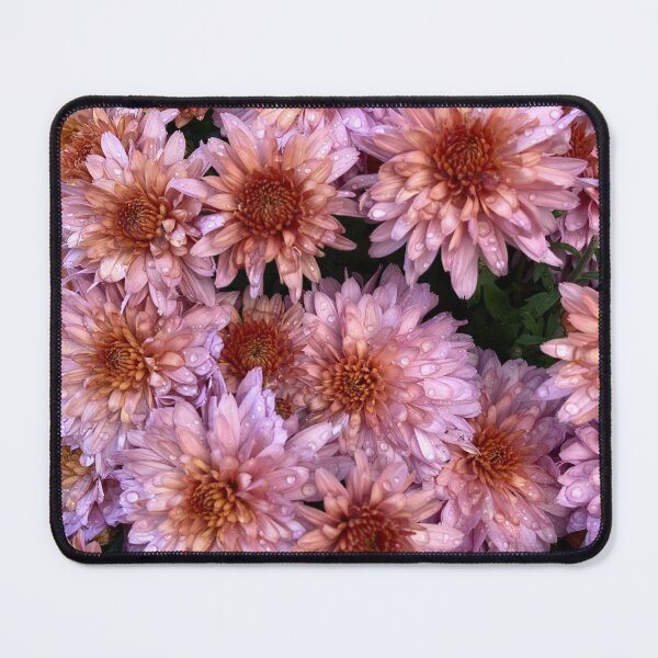 Item preview, Dewy Pink Chrysanthemums  designed and sold by busuneko.