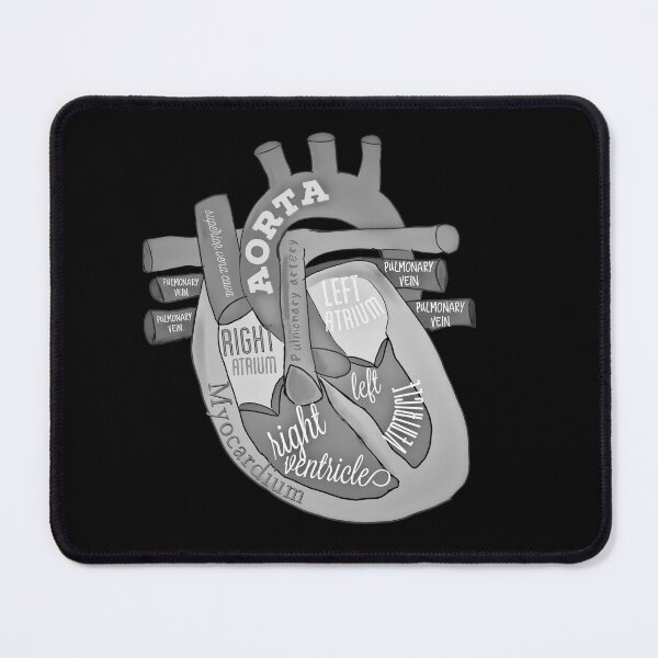 Item preview, Black and white anatomical heart designed and sold by Tamm-art.
