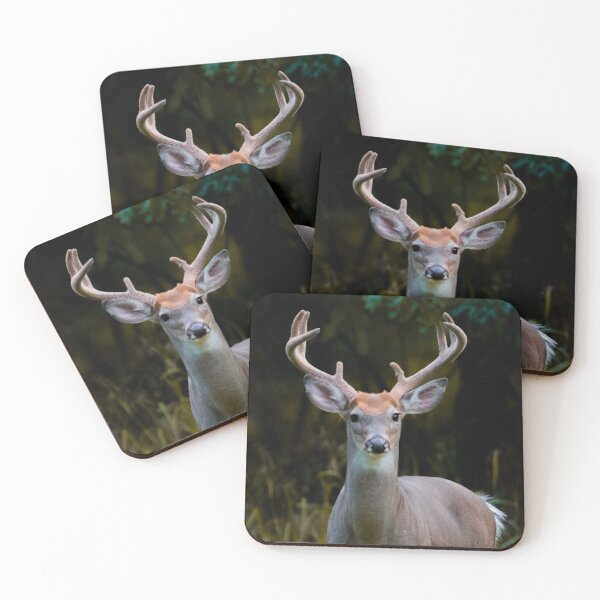 Artikelvorschau, Buck im Wald entworfen und verkauft von l-n-designs.
