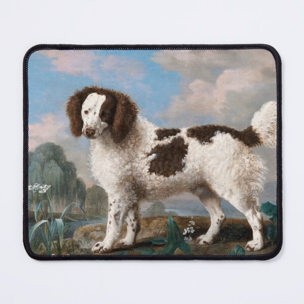 Item preview, Brown and White Norfolk or Water Spaniel - George Stubbs - Remixed designed and sold by ImagenImages.