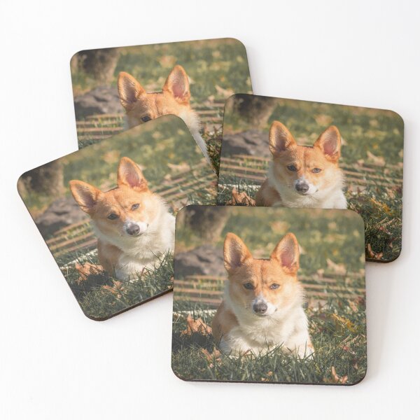 Item preview, Autumn Corgi designed and sold by l-n-designs.