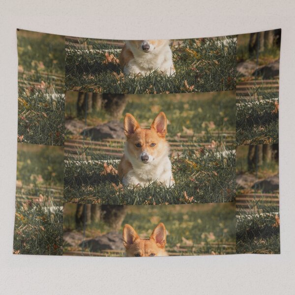 Item preview, Autumn Corgi designed and sold by l-n-designs.