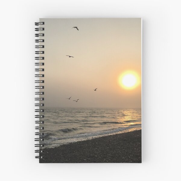 Item preview, Seagulls in the setting sun designed and sold by Ginette Jalbert.