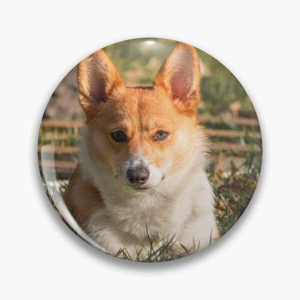 Item preview, Autumn Corgi designed and sold by l-n-designs.
