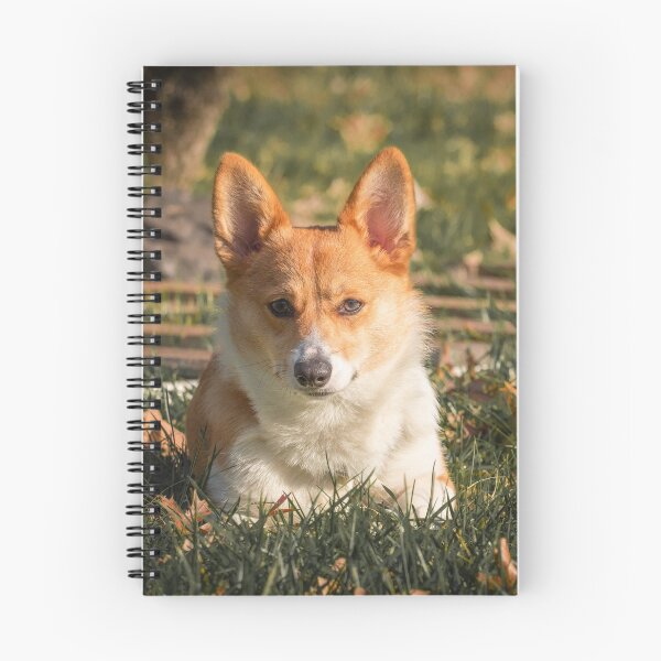 Item preview, Autumn Corgi designed and sold by l-n-designs.