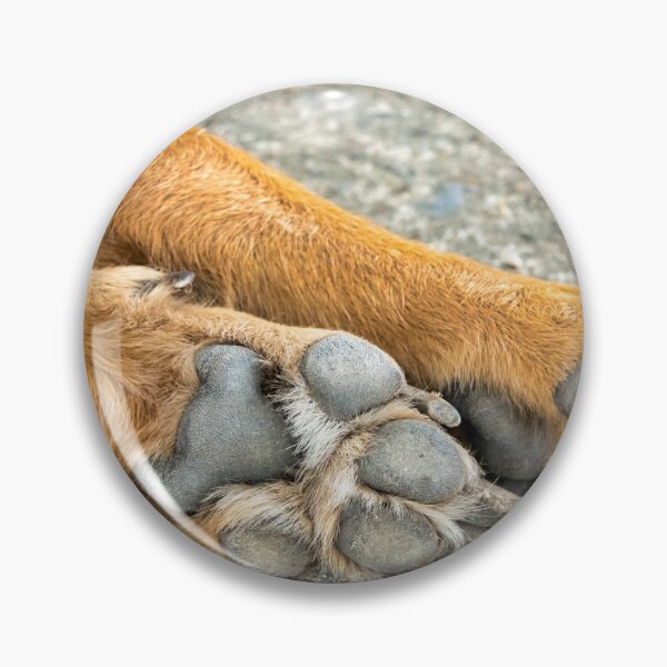 Item preview, Paws designed and sold by troianifabrizio.