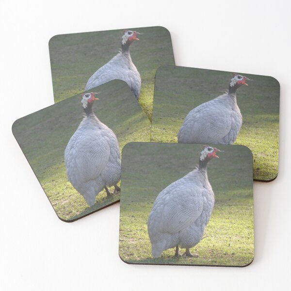Item preview, Cute Guineafowl Squawking Photograph designed and sold by naturegallery.