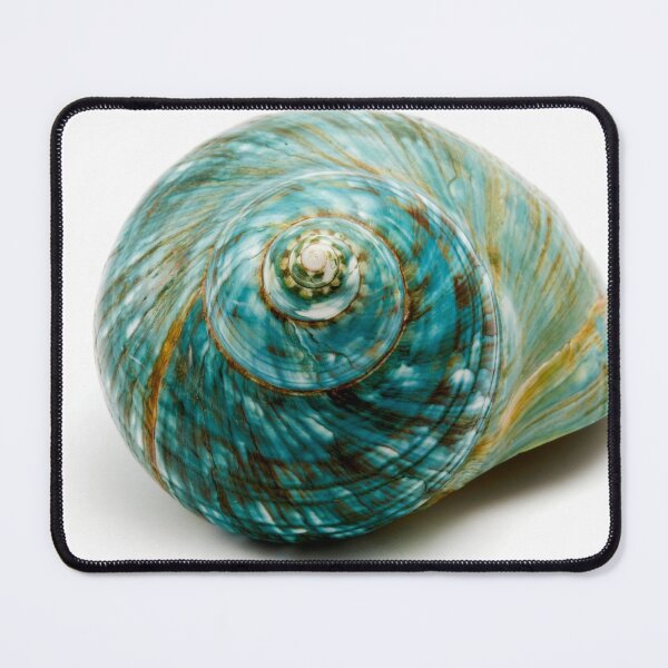 Item preview, Blue Sea Shell designed and sold by troianifabrizio.