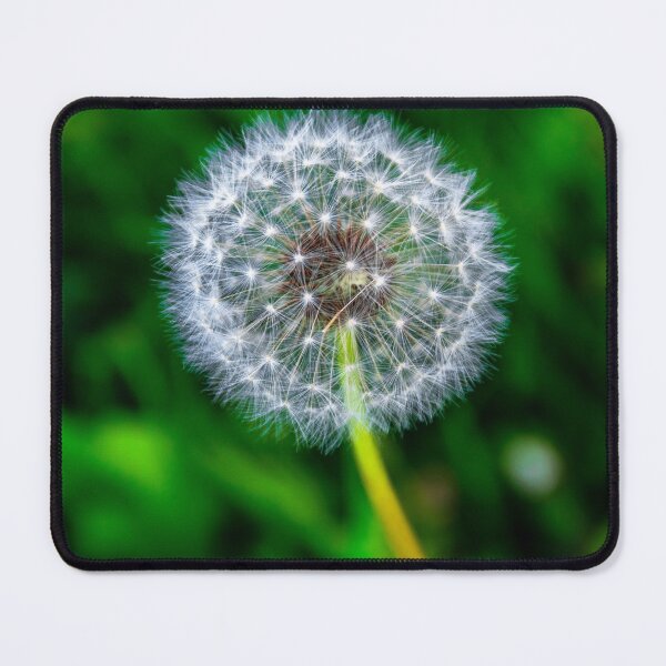 Item preview, flower designed and sold by Janja87.
