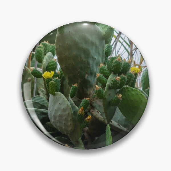Item preview, Opuntia, commonly called prickly pear designed and sold by lena-maximova.
