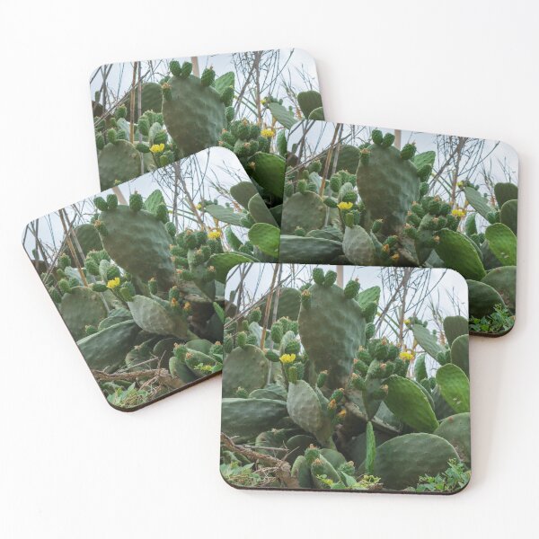 Item preview, Opuntia, commonly called prickly pear designed and sold by lena-maximova.