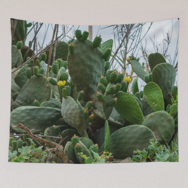 Item preview, Opuntia, commonly called prickly pear designed and sold by lena-maximova.