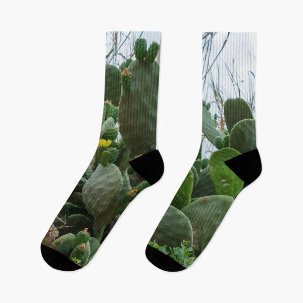 Item preview, Opuntia, commonly called prickly pear designed and sold by lena-maximova.