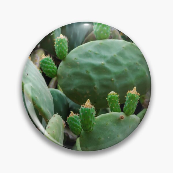 Item preview, Opuntia, commonly called prickly pear designed and sold by lena-maximova.