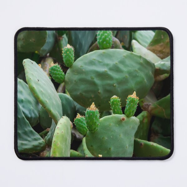 Item preview, Opuntia, commonly called prickly pear designed and sold by lena-maximova.