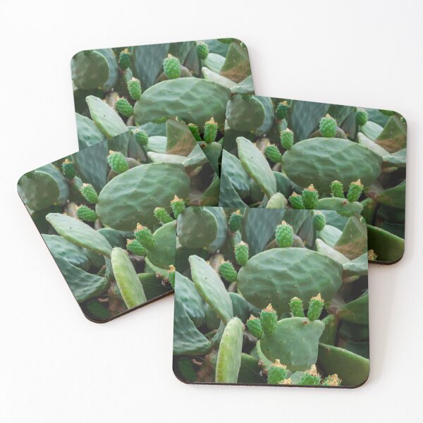 Item preview, Opuntia, commonly called prickly pear designed and sold by lena-maximova.