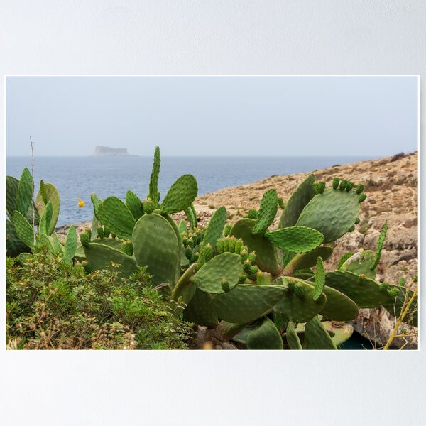 Item preview, Opuntia with a Filfla island at the horizon designed and sold by lena-maximova.