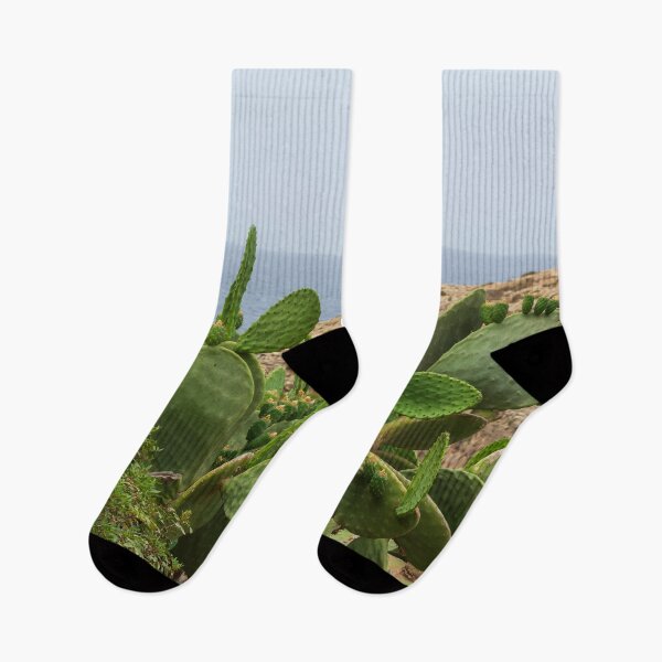 Item preview, Opuntia with a Filfla island at the horizon designed and sold by lena-maximova.