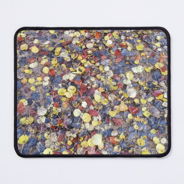 Item preview, Autumn colors - fall leaves | Landscape Photography designed and sold by SimZoom.
