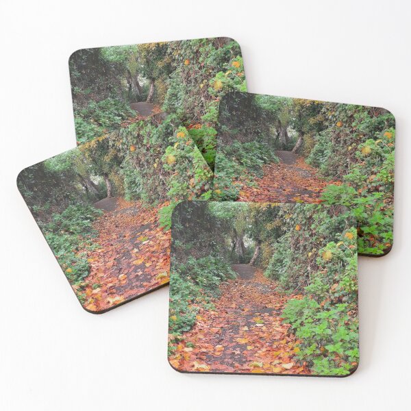 Item preview, Autumn path designed and sold by Narwhalbubbles.