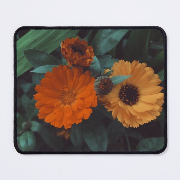 Item preview, big daisies designed and sold by busuneko.