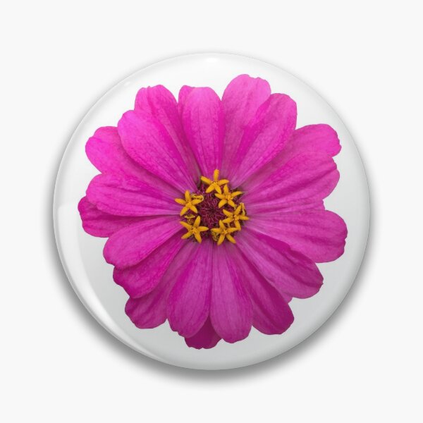 Item preview, Pink Zinnia Flower Still Life Floral Photography designed and sold by CottoVerdi.
