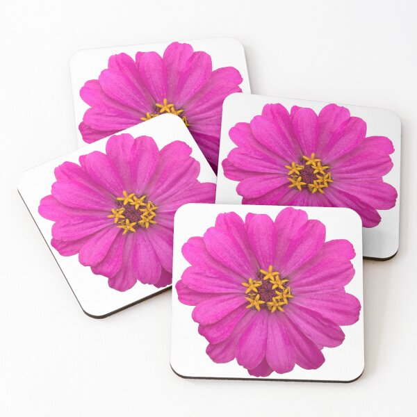 Item preview, Pink Zinnia Flower Still Life Floral Photography designed and sold by CottoVerdi.
